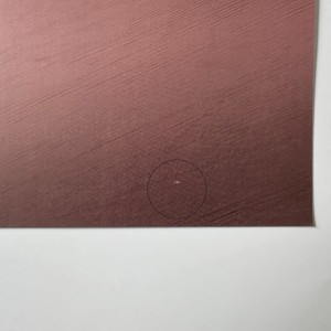 strus_48x68cm2.jpg