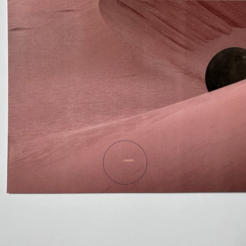 strus_48x68cm.jpg