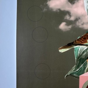harmonia_50x70cm2.jpg