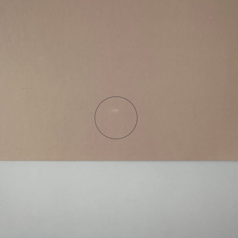 żyrafa_48x68cm2.jpg