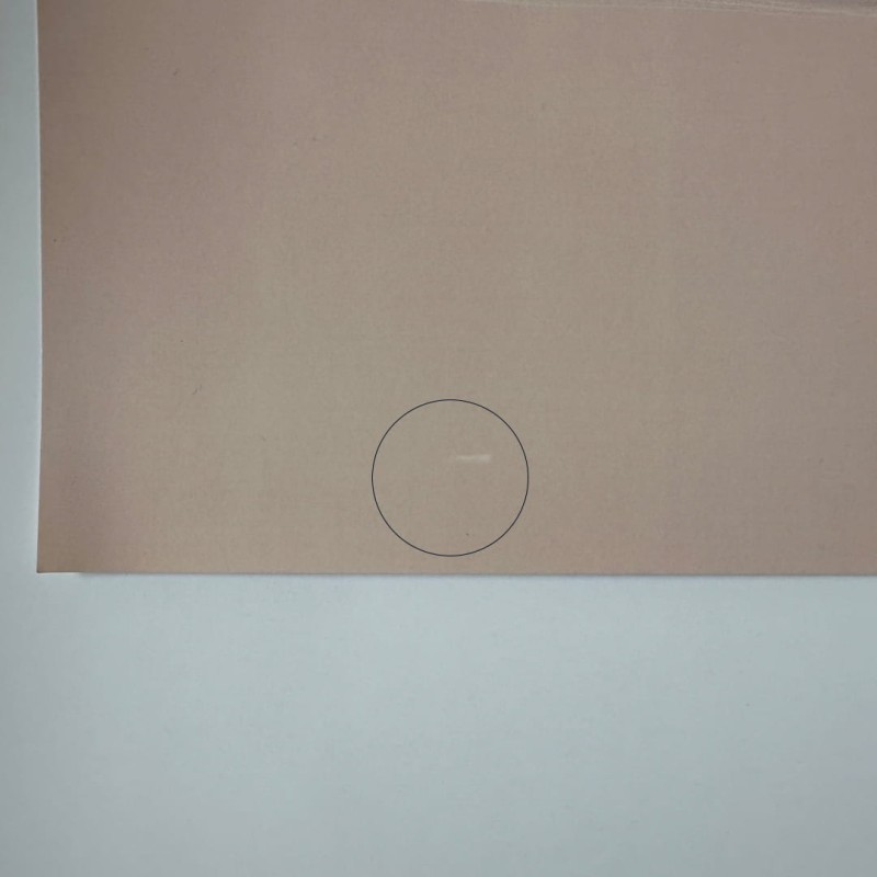 żyrafa_48x68cm.jpg
